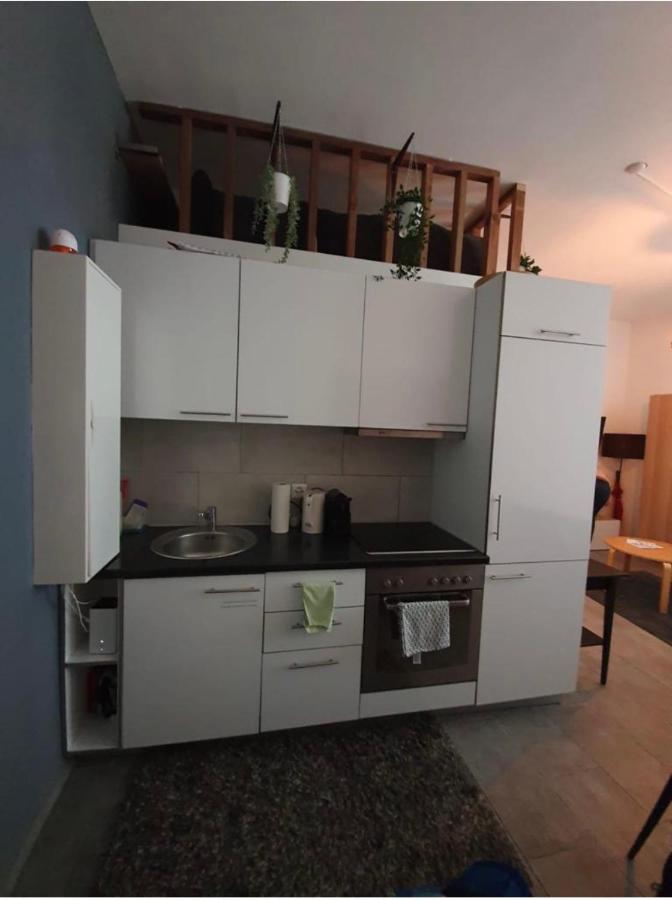 Modern Studio With Mezzanine Le Mont-Sur-Lausanne Zewnętrze zdjęcie