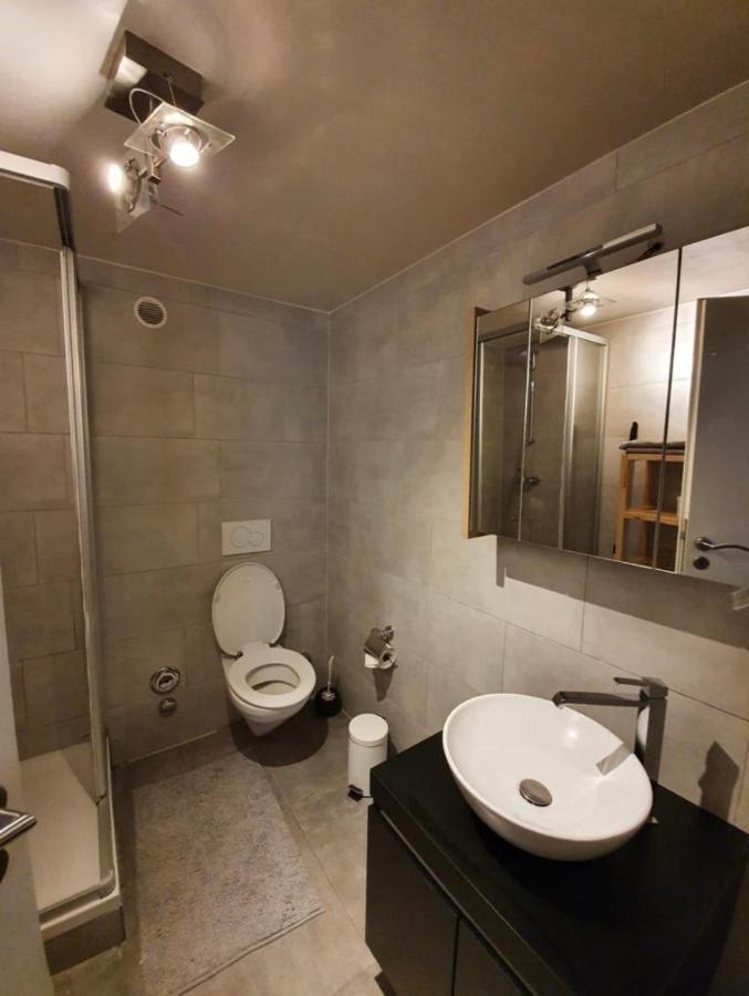Modern Studio With Mezzanine Le Mont-Sur-Lausanne Zewnętrze zdjęcie